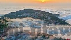足球比分大师dz-探秘足球比分大师dz,数据背后的智慧与激情